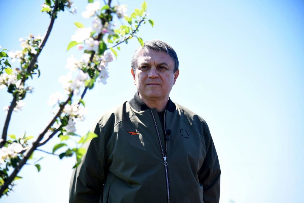 ������ ��������: ������� �������� ��������� ��� ����������, ������������� � ������ ���������� ���������������� ��������� ������������