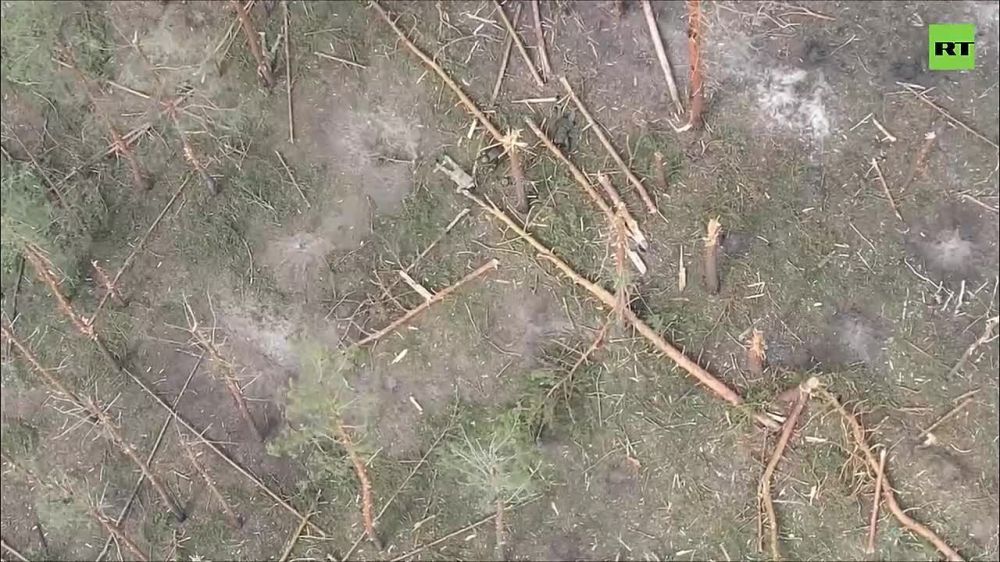 ����� � ������ ����������� ������������ �������� ������ ���