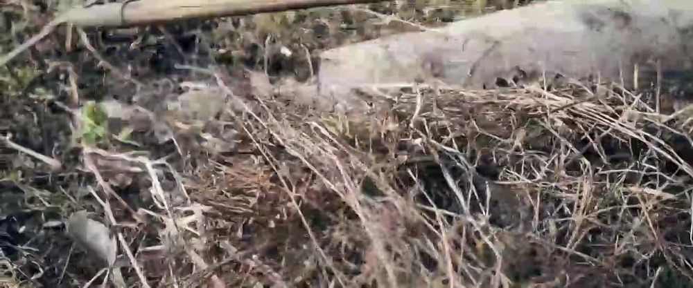 ��� ��� ����������: �� ���������� ����� ����� � ���������� ������� ��� �������