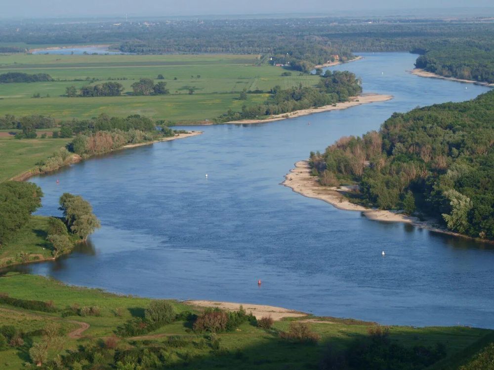 ���, ���. ���� �������� ������ � ������ ������ �� ������� ������ ��������