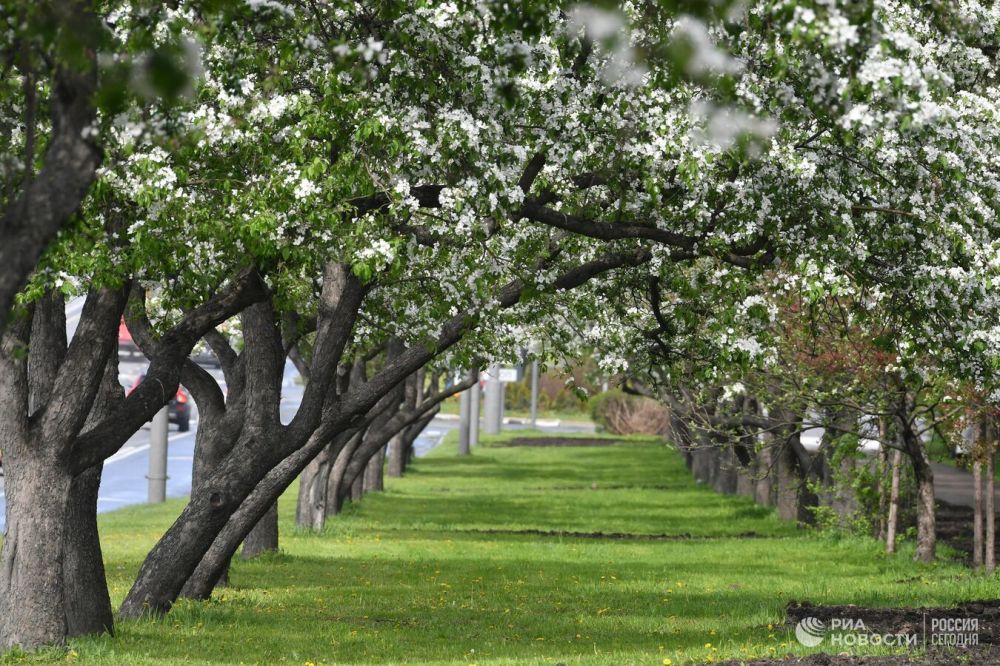 ������������ ����� ��������� � ����� ����������� � ���