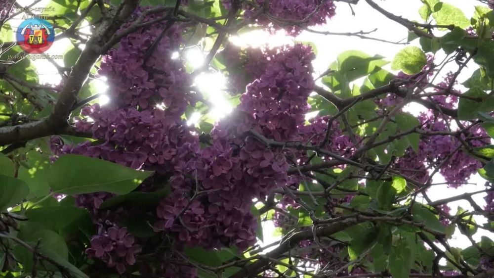 ������� ������� �������� � ��������� � ���� ������ �������� ������� ������������� ����� ����� ������������