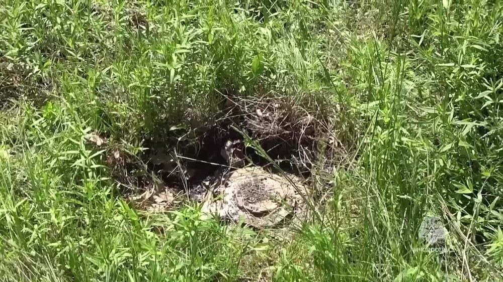 ����� 1,8 ���. ������������� ��������� ���������� � ����������� ������ ��� � ������ ������ ����� ���� �� ����������� ��� � ���, �������� � �����-������ ��� ������