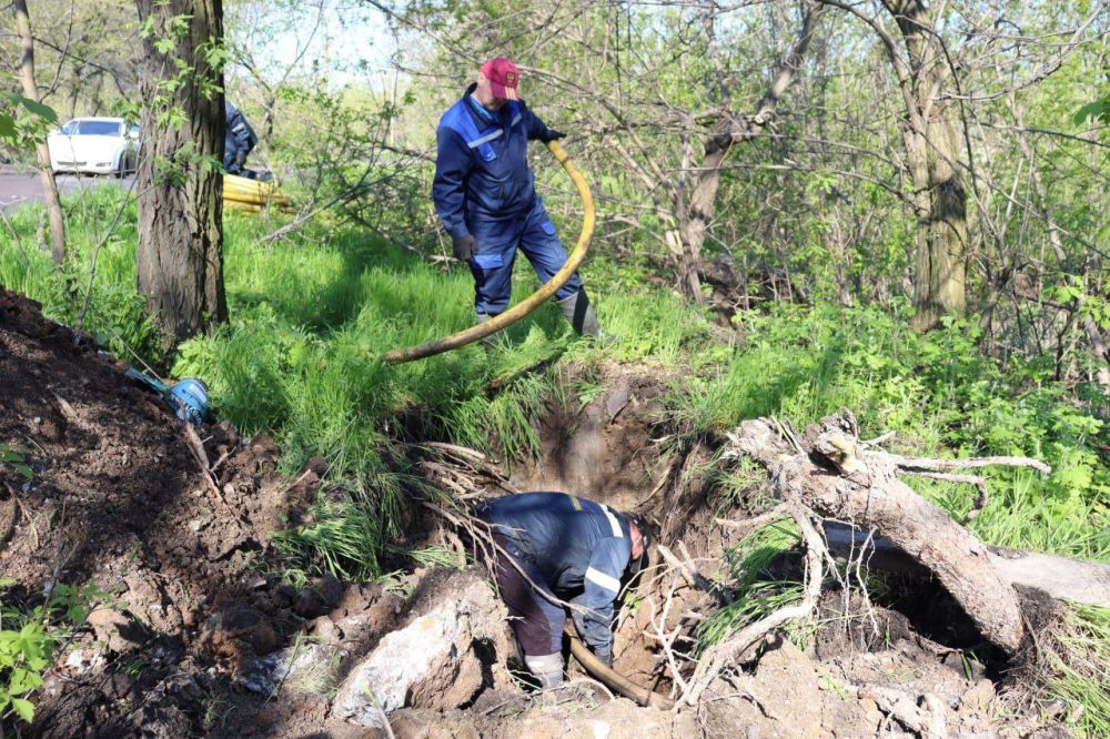 ������ ����������� ������������ ����������� � ���������