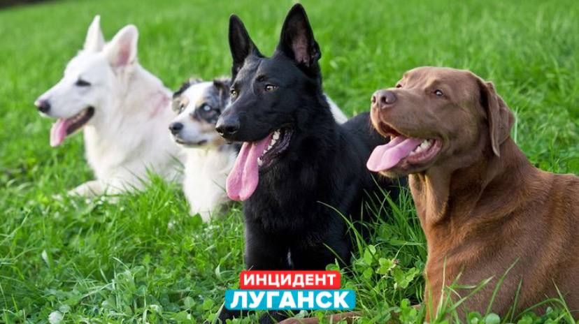 ���. � �������� ������ ������ � ��� �������� ����� ���� �����