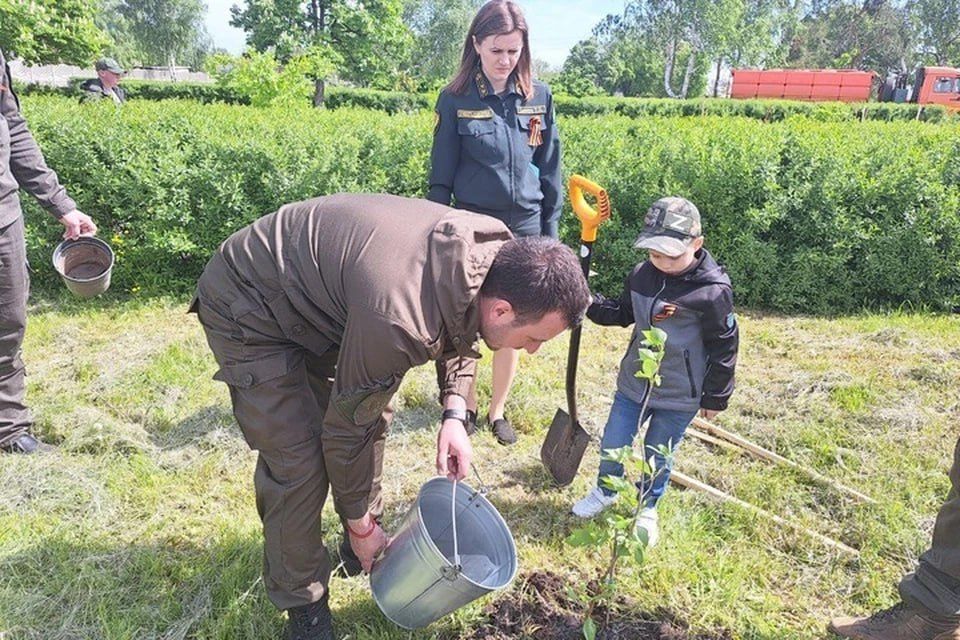 ������ ������������� ������� ������������ ������ ������ �������� � ��������