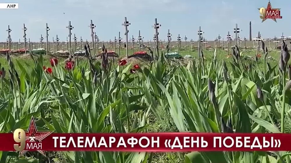 ������������ � ���� ������ �� ��������� �������� ���������� ��� ����� 24�