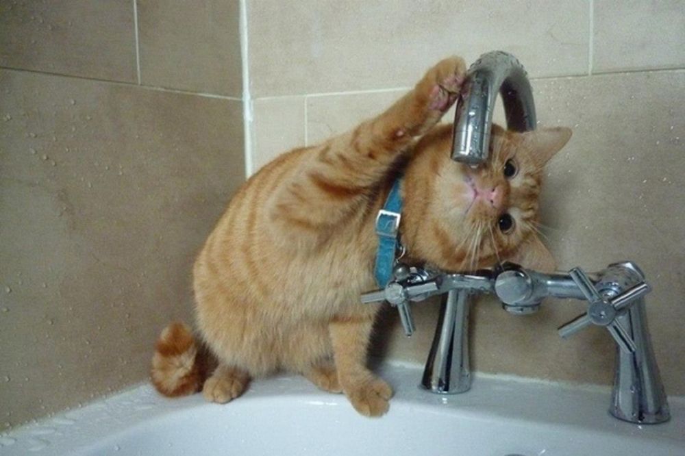 ������������� ����� ���������� ������ ������������ �������