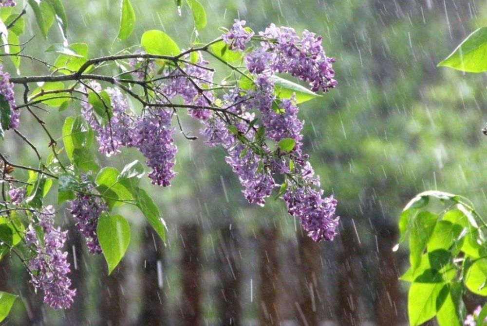 ����� ��������� ������ � ��������