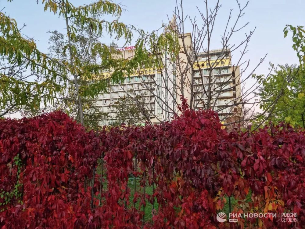 ������ �� ����� ����������� ������