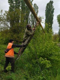 ���������� ����������� ������ ���� ��������� ��������, ���������� ��������� �� ������� ���