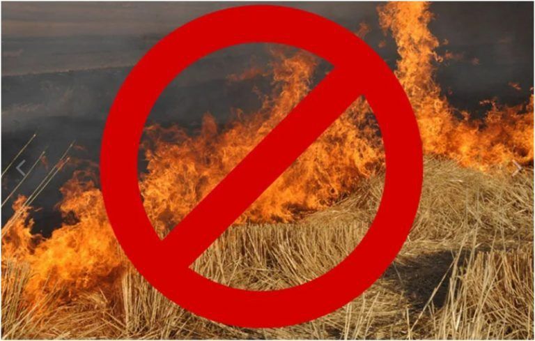 ����������� ��� ��������������� ������������ �� ������ ��������������������� �����������