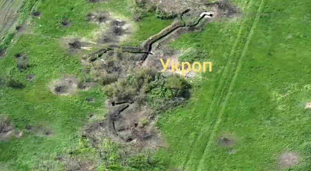 ������������ �׸���� ������� ���������� ����� ��� � ������ �������� (���)