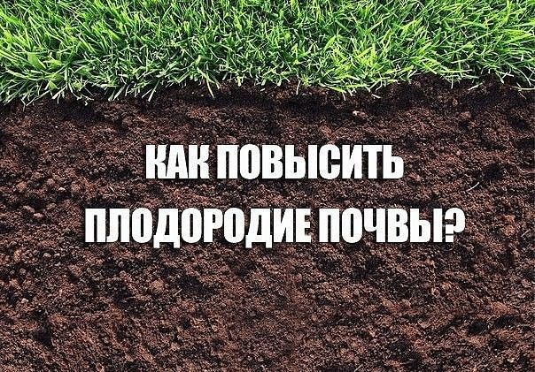 ���������� � ������ ��������� ���������� ����