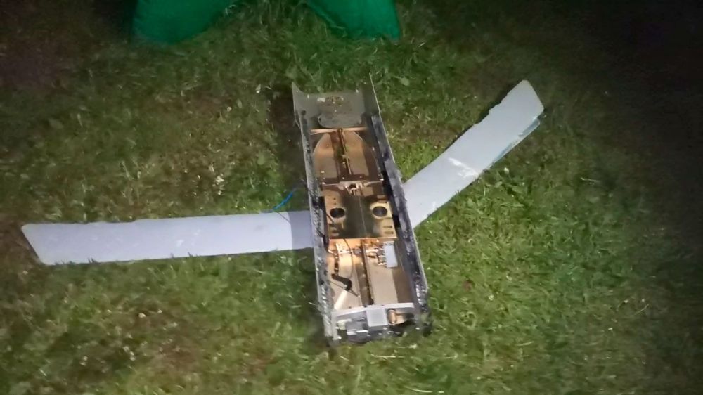 �������� ���������, ��� � �������� �������� ���� �����������