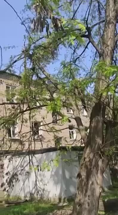 ����������� �������� ��������