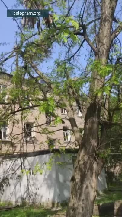 ����� ����������� ����� �������� �� ������� ��������� �� ������� ��������