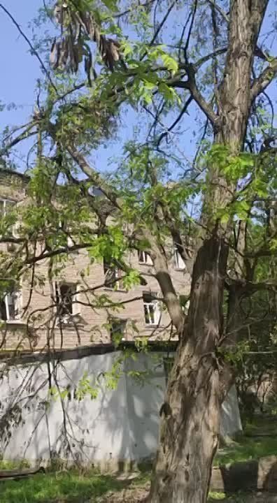 ������ �������: ������ ����� ���������� �� ������ ��������� (�������� ��������)