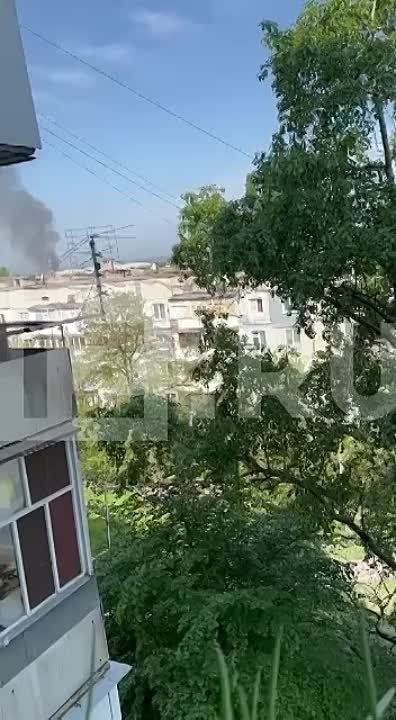 ����� ���� ��� �� ��������