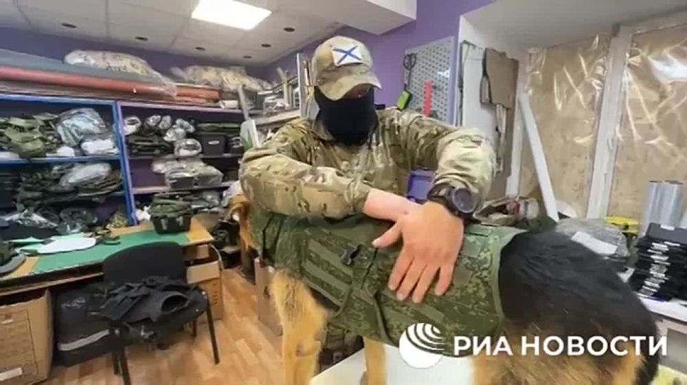 ����������������� ������ ��� ��������� �����, ���������� ���������� ����������� �� ���������, ������� � ������� �� ����������� "3� �����"