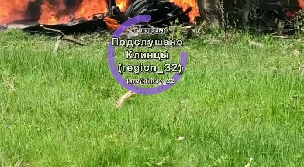 ���� ������ ���� �������. ���� ��������. ������ �������