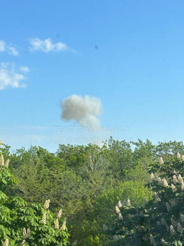 ������ ����� ������, �������� �������� �����, � ������ ����������� ��� 100% ������, �������� ���������