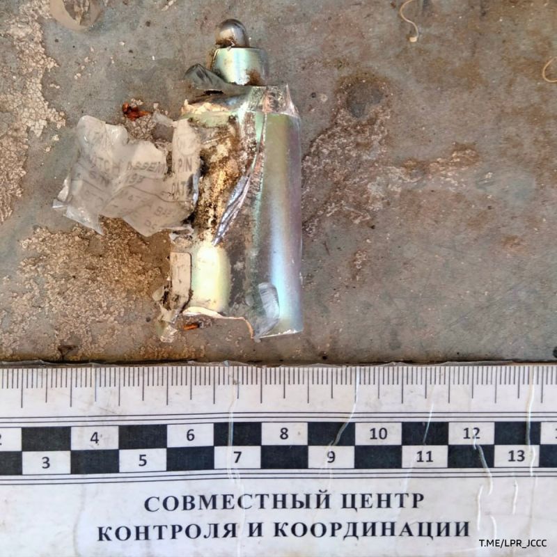 ���������� ���� ����� � ���������������� ������ ���������� � ���������� ��������� ����� ��� �� ��������, �������� � ���� ���������� "������ 24"