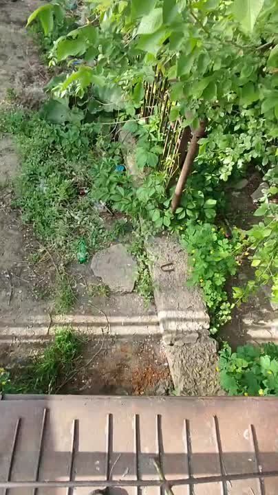 ���� ������: � �������� ������������ ���������� ������������� ������ ����� "������� �������"