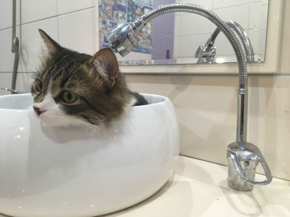 ������ ���� �� ��������� ������� ������ ������������ �������