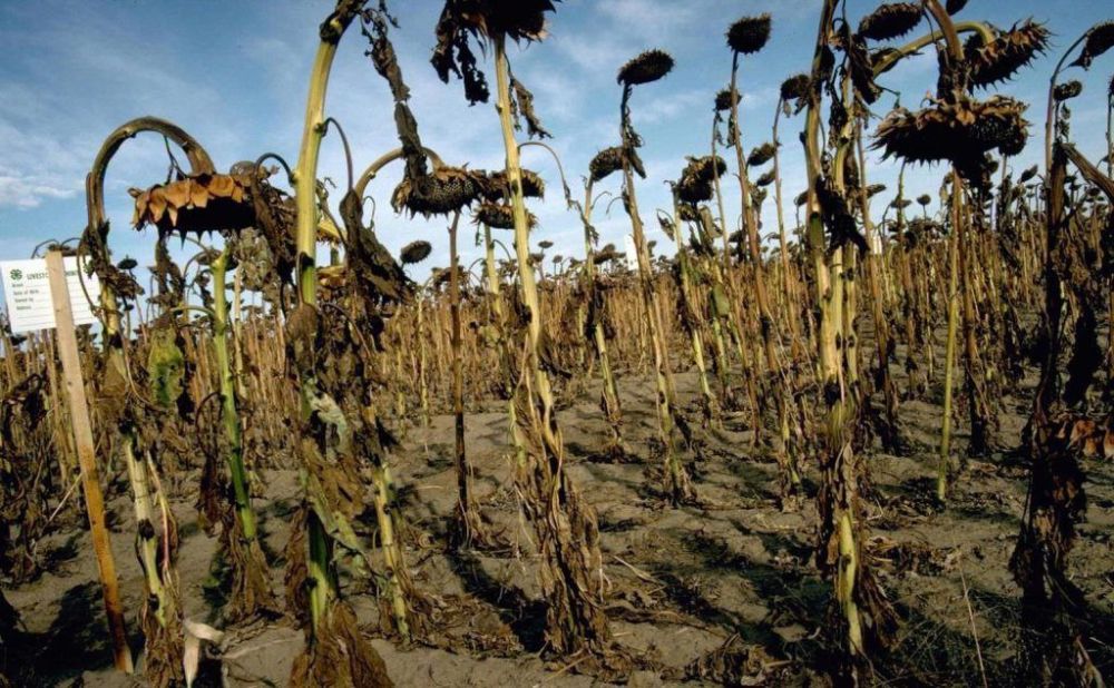 �������� �������������-������� ����������� �����������