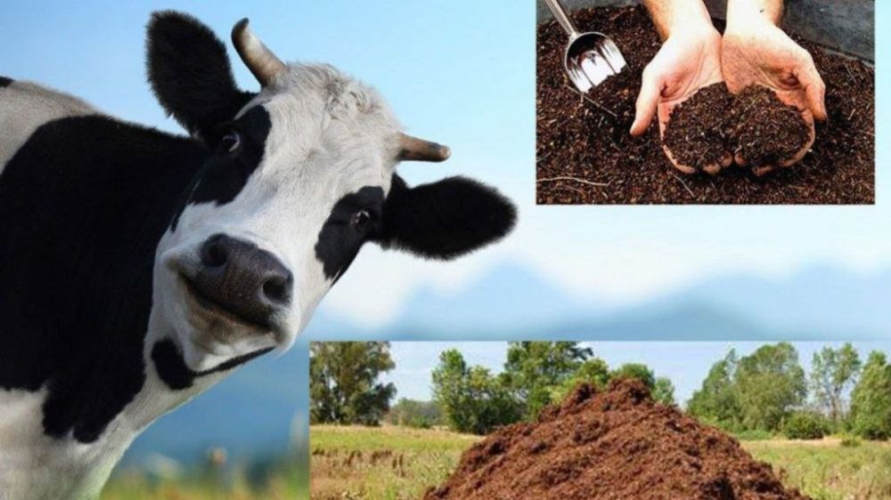 ��� ����� ��� � ��� � ��� ���������?