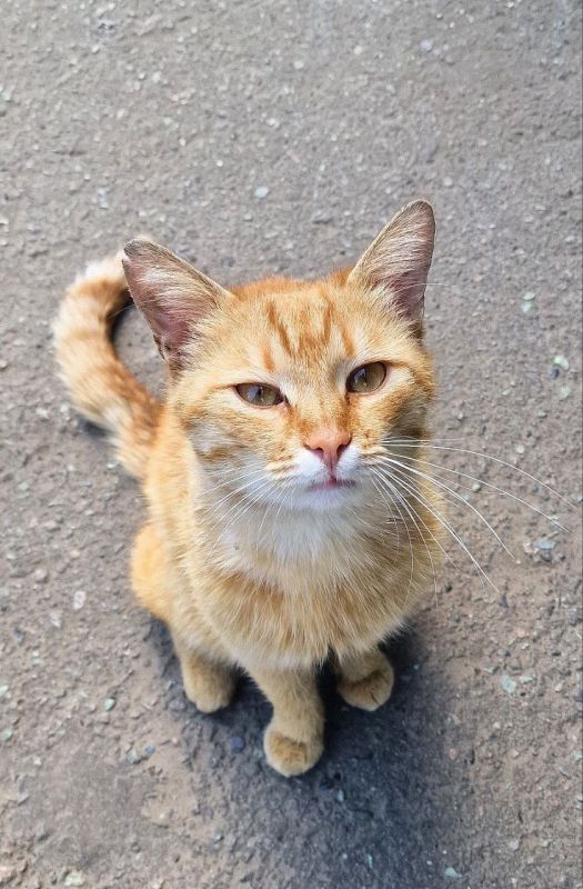 �� ���� ���� ���������� � ��������� �������� � �������� ������� ����� ������������ ���������� ����������� �������