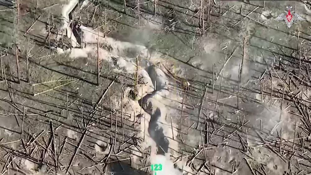 ������ ������������ ������� ���������� ��������� � ���� ���������� ����������� ������� �������� (�� ��������� �� 17 ��� 2023 �.)