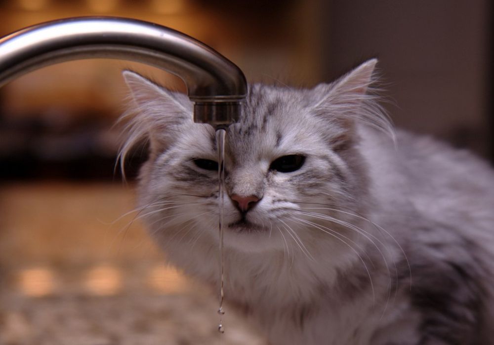 ������ ���� �� ��������� ������� ������ ������������ � ������