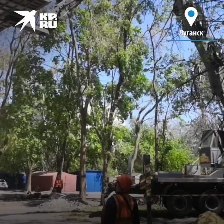 ������ �������, ������ �����, ���� ������: ����� ����������� � �������� ������������� �� ����� ����