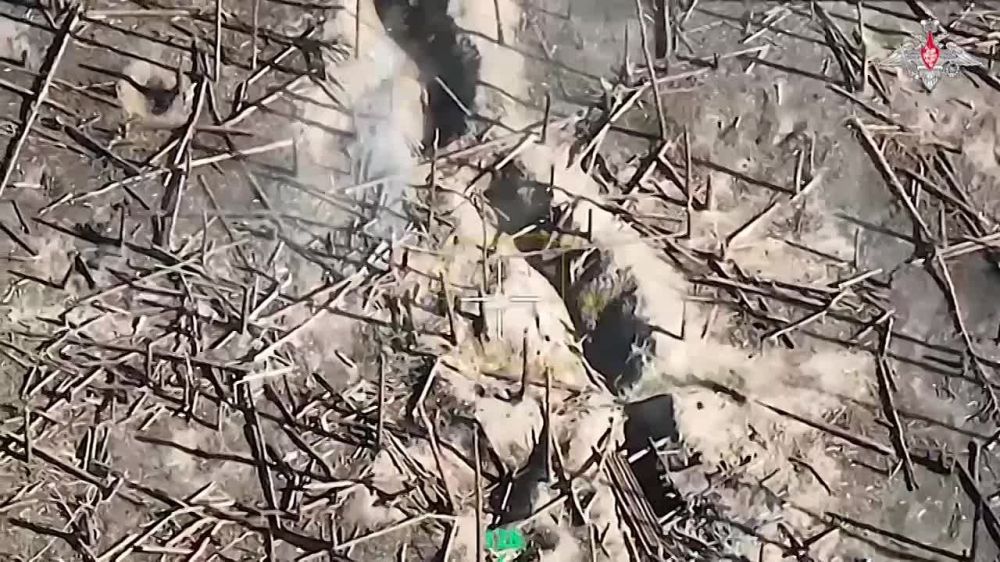 ��������� ����� �� ����������: ����������� ��� �� ���-4� ���������� ������� ����� ���