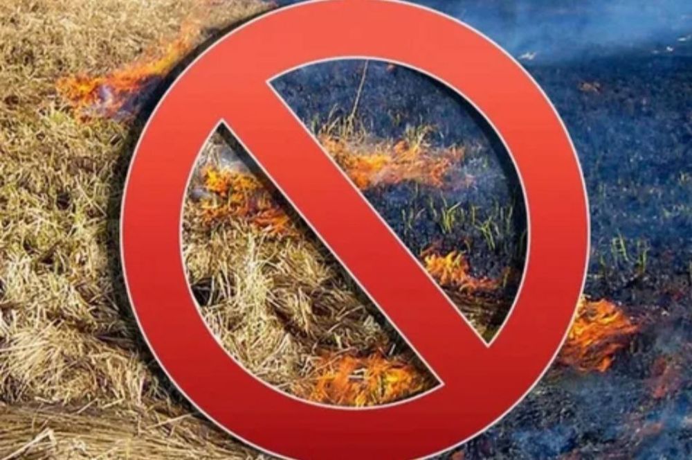 ����, ��������� ��������� ������