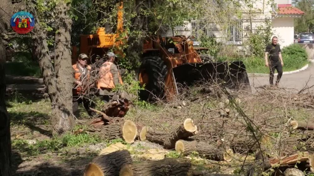 ��������� ������ ���������� �������� ������������ � ���������� �������� �����