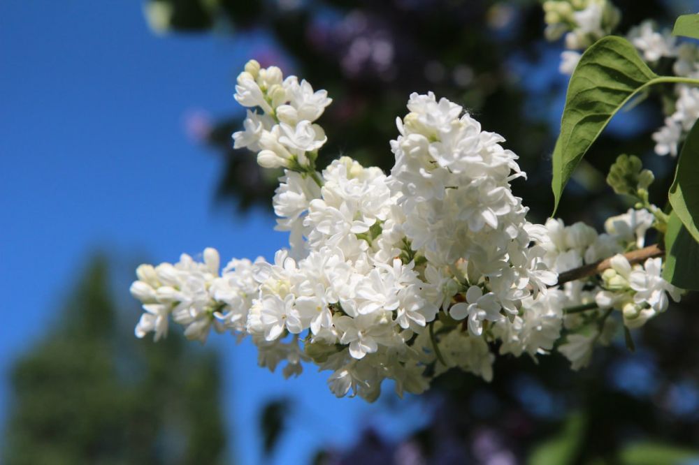 ��������� ������������ ������ � �������� �� +26�