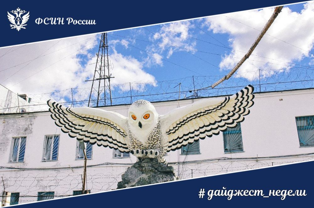 #��������_������. �������� ���� ������ ������� ������ � ������� ������� ������� �������� �������� ���������� � ��������� �������� ����������