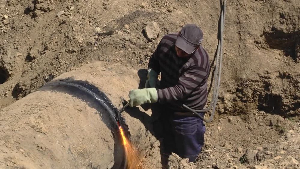 ����������, �� ������ ������ ���������� ��������� ���������� ������ �� �������������� � ������� � ������� ���������� ������������ � ������� ������� ����������� ����������