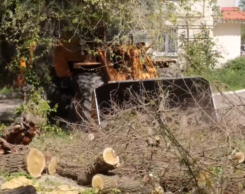 ���������� ������������� �������� � ��������� ����� ������� ��������� ���������