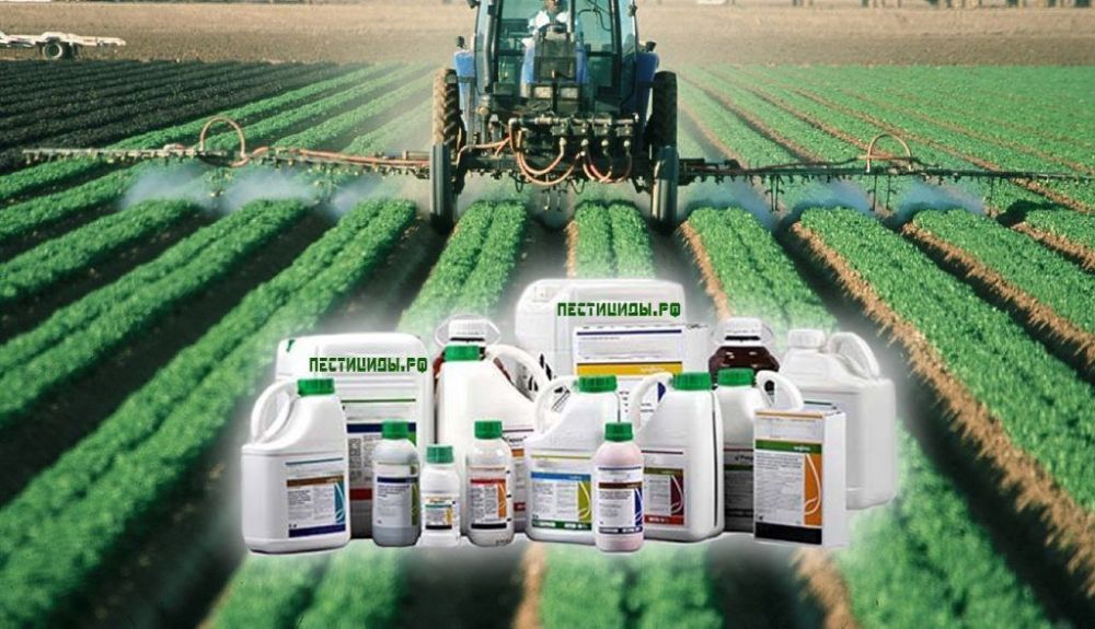 ���������� ����������������� �� ��� ���������� �� ��������� � ��������������� ��� ������������ ������������� �������������