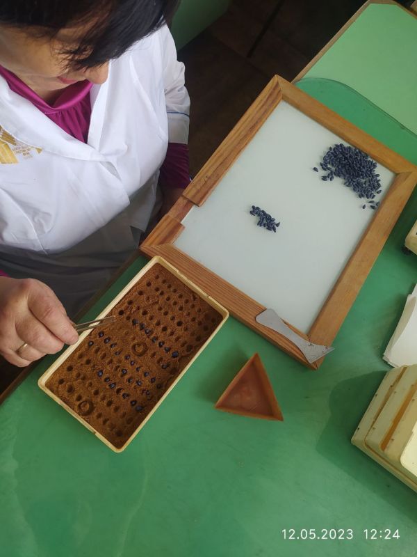 ��������� ��������� �����