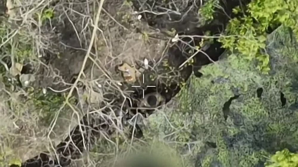 ��������� ������� ��� � ������ �������-��������� ��������� ������������ 20 �����