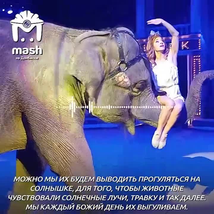 � �������� ������ ���� �����