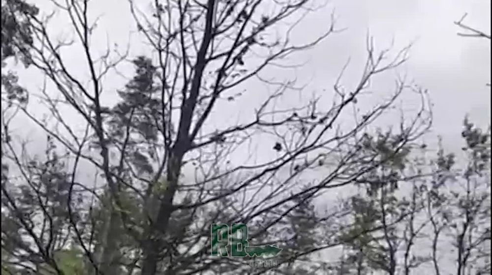 ����������� "�������� " ����� ������� ��� ��� ������ ��������� �