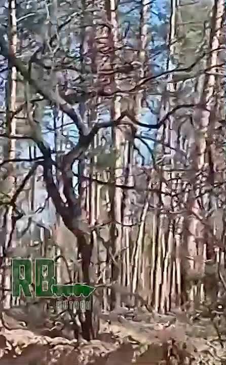 "��������" ���� � ����� ��� ���������!