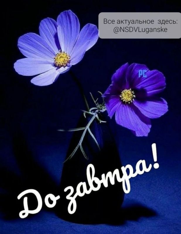 ������ ����, �������!. ������ ���� ���� � �������� � � ��������� �������� ���������� ����� ��������. ��� �������