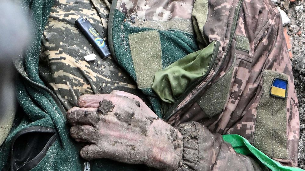 ������� ������������� ������ ���